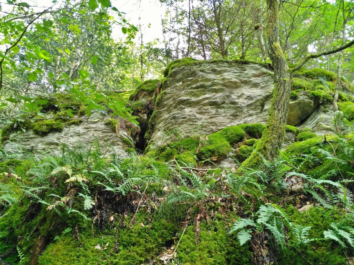 Fewo Well Gladenbach Exterior photo